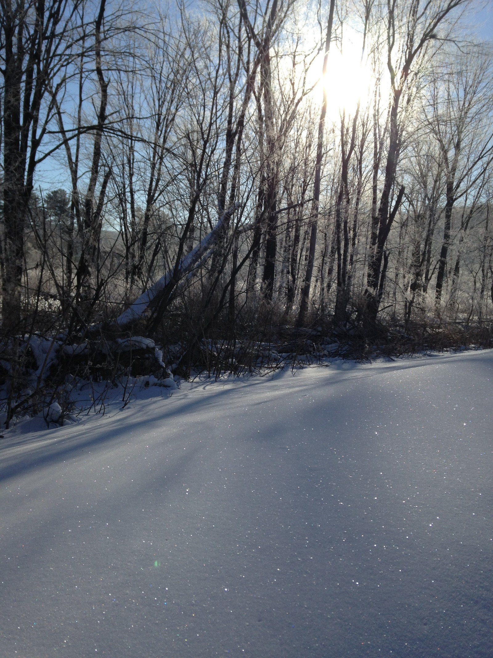 23 new Early Vermont Settlers, 17001784 sketches from Norwich
